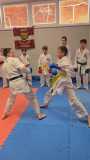 kadzan-karate-2025-seminars-zelonija-skola-dmistrijs-sokolovs-09 kadzan-karate-2025-seminars-zelonija-skola-dmistrijs-sokolovs-09