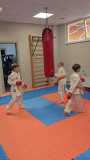 kadzan-karate-2025-seminars-zelonija-skola-dmistrijs-sokolovs-15 kadzan-karate-2025-seminars-zelonija-skola-dmistrijs-sokolovs-15
